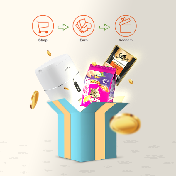 Earn Point for Every Spent